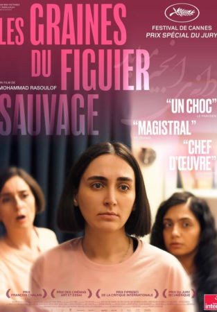 Les graines du figuier sauvage