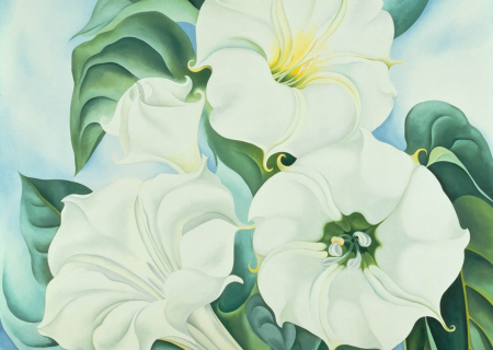 O Keeffe