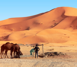 Atelier sur les Nomades d’Afrique avec le musée des Confluences