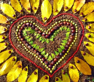Ateliers grainothèque : Dessinons la nature en land art