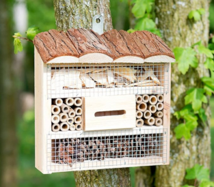 Ateliers grainothèque : petites maisons à insectes