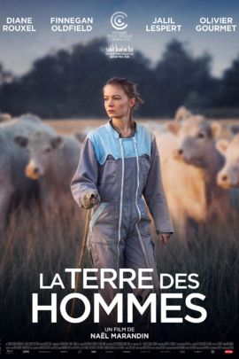 la terre des hommes